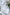 Allantoin
