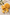 Beeswax