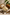 Theobroma grandiflorum (cupuacu) seed butter
