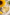 Helianthus Annuus (Sunflower) Seed Oil